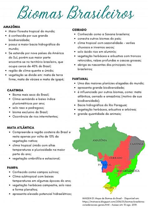 Biomas Brasileiros Biomas Bioma Brasileiro Resumos Enem