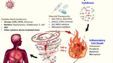 Covid 19 Cytokine Storm Mechanism Mental Floss