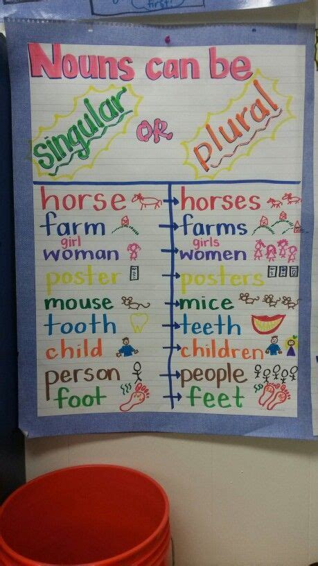 These birds known as parrots is usually green. Singular and Plural Nouns anchor chart! (Notice the stinky ...