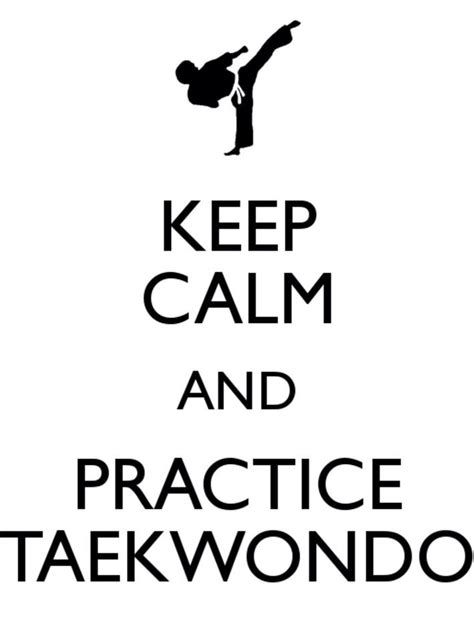 Dont Ever Give Up Frases De Taekwondo Imagenes De Taekwondo Taekwondo