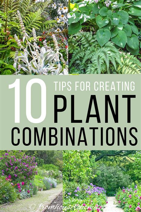 Plant Combinations 10 Tips For Creating Flower Combinations That Work