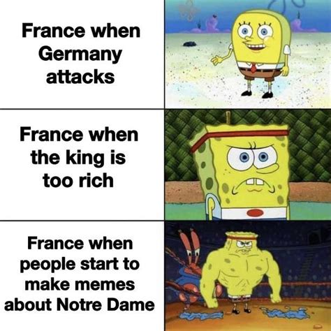 there is notre dame thing french people can do to stop dank memes r dankmemes