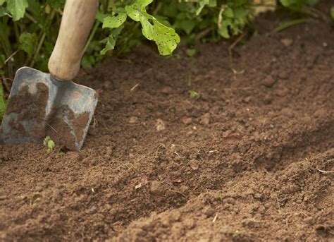 Achieving And Maintaining Great Garden Soil
