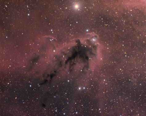 Apod 2019 February 2 Ldn 1622 Dark Nebula In Orion