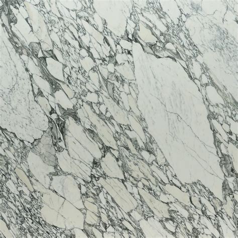 Arabescato Corchia Polished 2cm 1776 Calia Stone Boutique