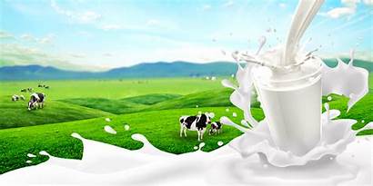Milk Background Poster Vector Powder Nature Card