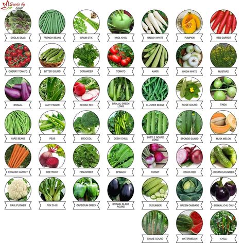 Seeds Vegetable Seeds Pack Of 45 For Home Gardening Fresh Etsy