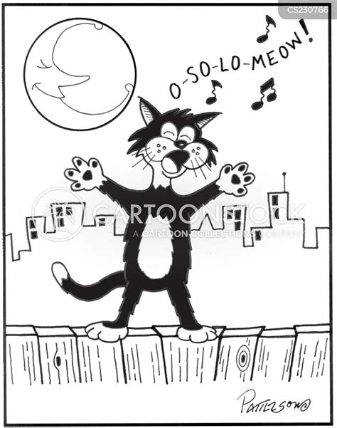 Alley Cat Cartoons And Comics Funny Pictures From Cartoonstock