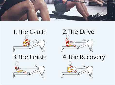 Rowing Is Good For You Its A Full Body Workout MAYBE YES NO Best