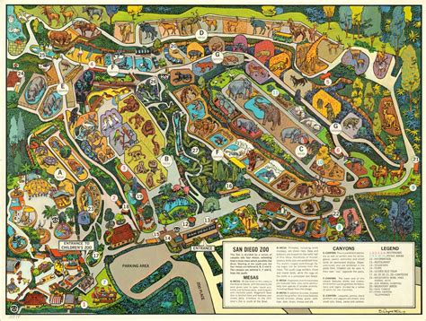 Visitors Map Of San Diego Zoo And Balboa Park Curtis Wright Maps