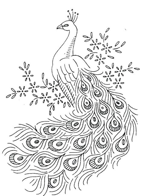 Free Peacock Coloring Pages At Free Printable Colorings Pages To Print And Color