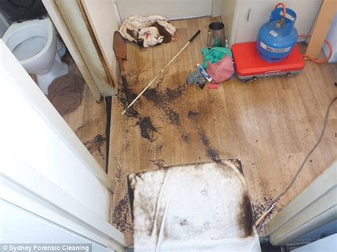 Inside The Horror Death Houses Faced By Forensic Cleaners Daily Mail