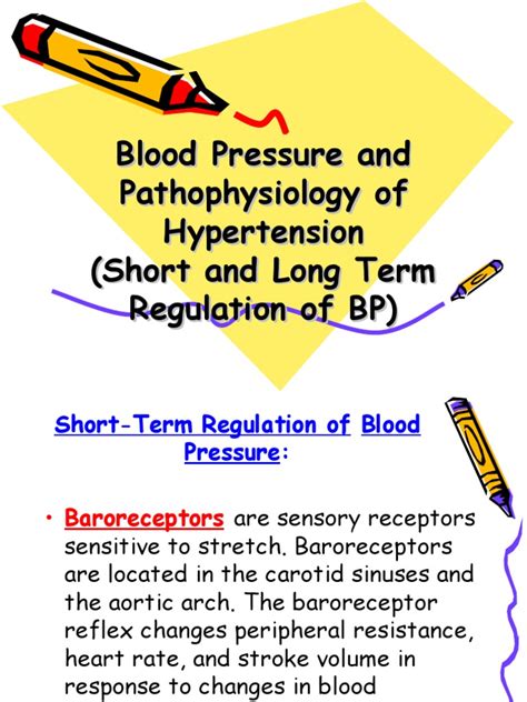 Cvs Lect 6 Blood Pressure Pathophysiology Angiotensin Kidney