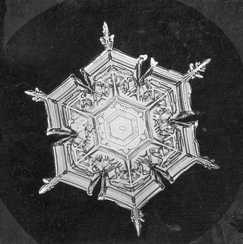 This Is What The First Photographs Of Snowflakes Looked Like