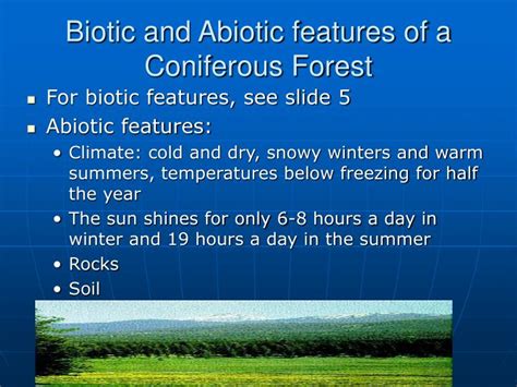 Ppt Coniferous Forest Wahoo By Dr Herskovits And Dr Miller