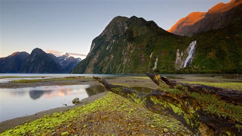 Parc National De Fiordland Et Ses Environs Nz Location De Vacances à