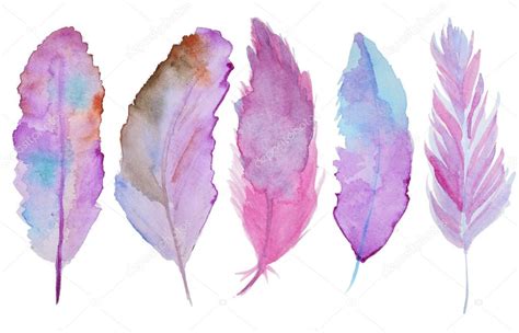 Watercolor Feathers Stock Photo By ©ivofet 82308036