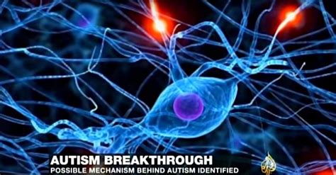 Have Researchers Found The Neurological Mechanism That Causes Autism