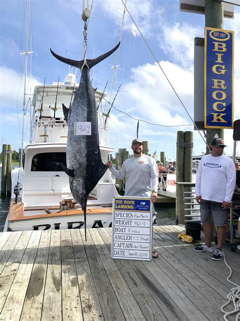 61st Annual Big Rock Blue Marlin Tournament Piracy Profile Reel
