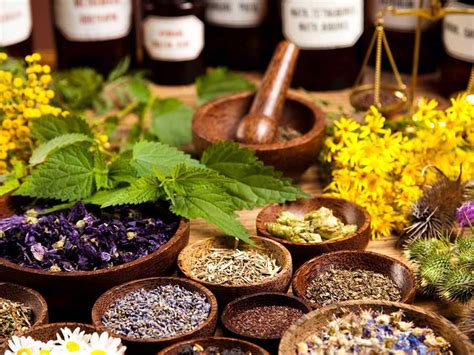 Best Herbs For Stress Reduction And Anxiety Relief GardensAll