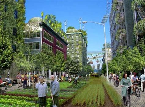 Green Ideas Turn New York City Into Efficient Urban Farming Area