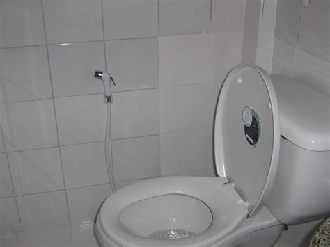 Toilet Ass Porn Sex Photos