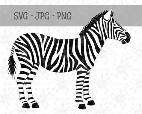 Zebra Clipart And Svg Cut File This Realistic Looking Zebra Is A Great