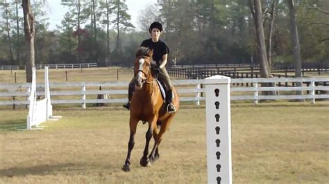 Mia Cantering Youtube