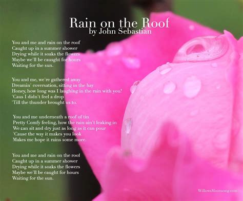 Close Up Of A Beautiful Fresh Rose And Raindrops The Song Lyrics From