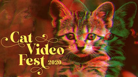 Where to see holiday lights in the seattle area in 2020. CatVideoFest 2020