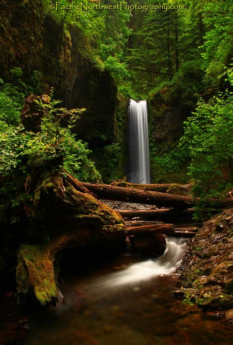 Columbia River Waterfall Oregon Oregon Waterfalls Waterfall Oregon