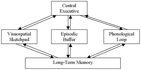 Working Memory Definition Examples Definition Model Memory Test