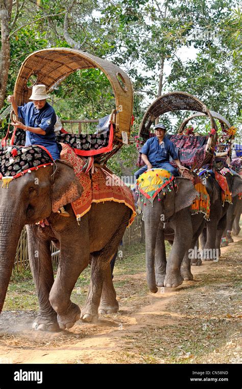 Laos Sainyabuli Province Hongsa Elephant Festival Parade Des
