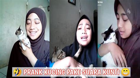 Ngomong Sama Kucing Youtube