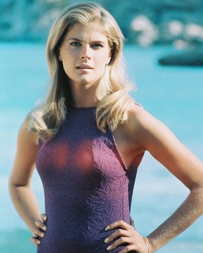 Candice Bergen Posters And Photos 238294 Movie Store