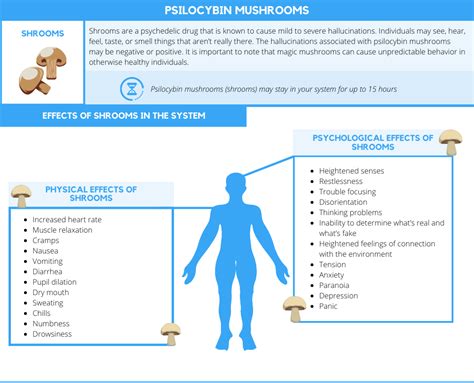 How Long Do Mushrooms Stay In Your System Cwc Recovery