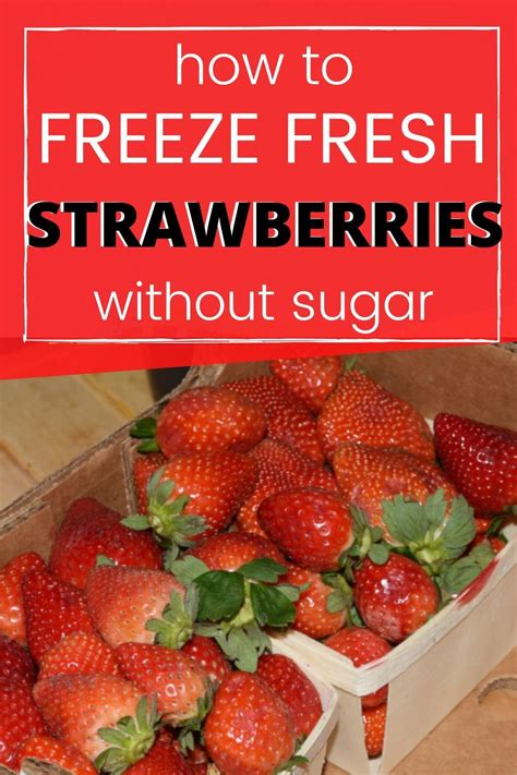 How To Freeze Strawberries Canning Recipes Frozen Fresh Food Saver