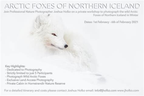 Arctic Fox Expedition Adobe Spark Presentation