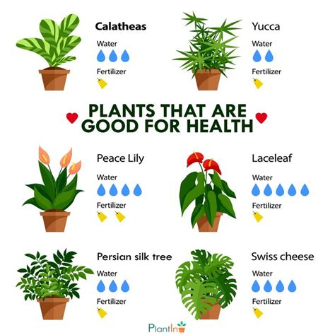Healthy Houseplants Are Good For Your Health Plants Plant Diseases
