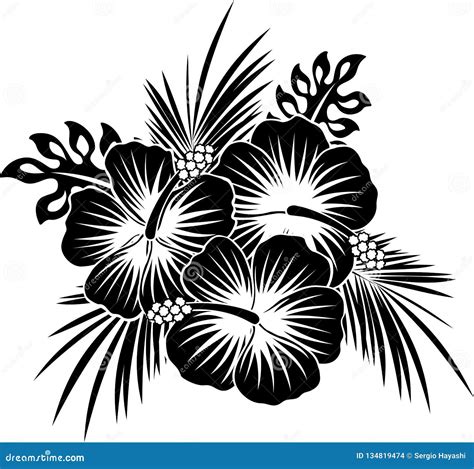 Hibiscus Flowers With Leaves In Black And White Vector Illustration