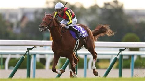 LUCKY LILAC JPN ORFEVRE LILAC S AND LACE BY FLOWER ALLEY B Northern Racing Jpn Apr
