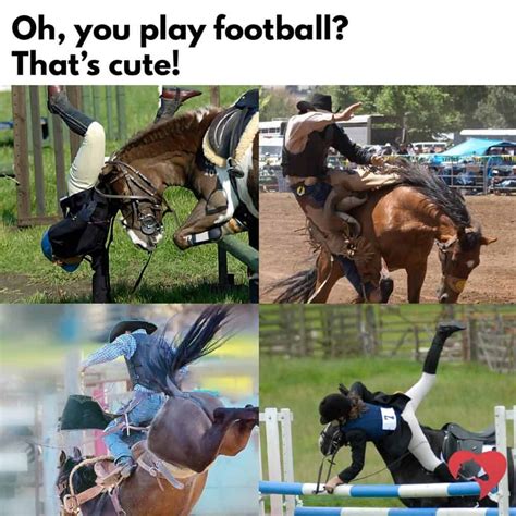17 Of Our Favorite Equestrian Memes Funny Horses Cute Horses