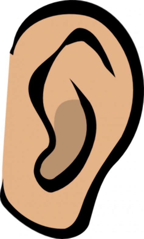 Download High Quality Ear Clip Art Small Transparent Png Images Art