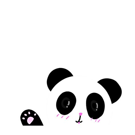Pandas Freetoedit Pandas Sticker By Amandaharwal