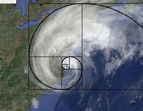 Double fibonacci(unsigned int n) {. Fibonacci Sequence on emaze