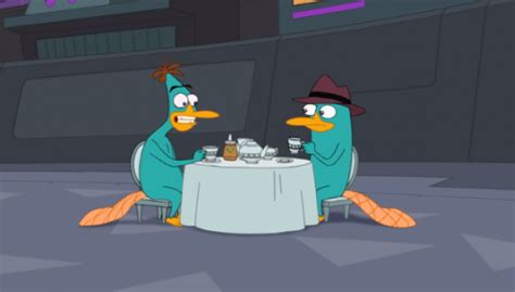 Perry The Platypus On Tumblr