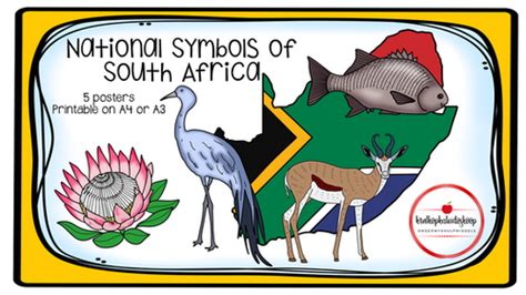 National Symbols Of South Africa Digital Krulkopkaleidoskoop