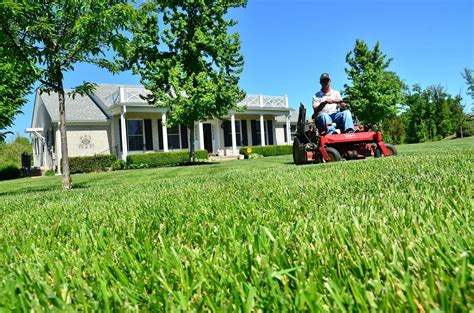 8 Lawn Care Tips And Tricks For The Perfect Lawn