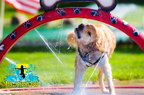 Dog Park Mobile Spray And Play Features By My Portable Splash Pad