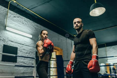 Pares De Boxeadores En Un Ring De Boxeo Imagen De Archivo Imagen De Gente Activo 100604393